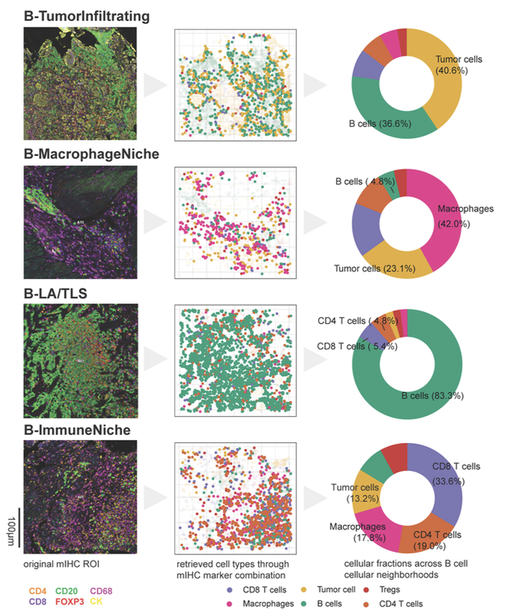 zhao2026spatial.png